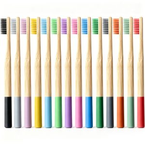 Eco Friendly Biodegradable Soft Bristles Bamboo Charcoal Toothbrush